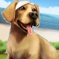 Dog Hospital